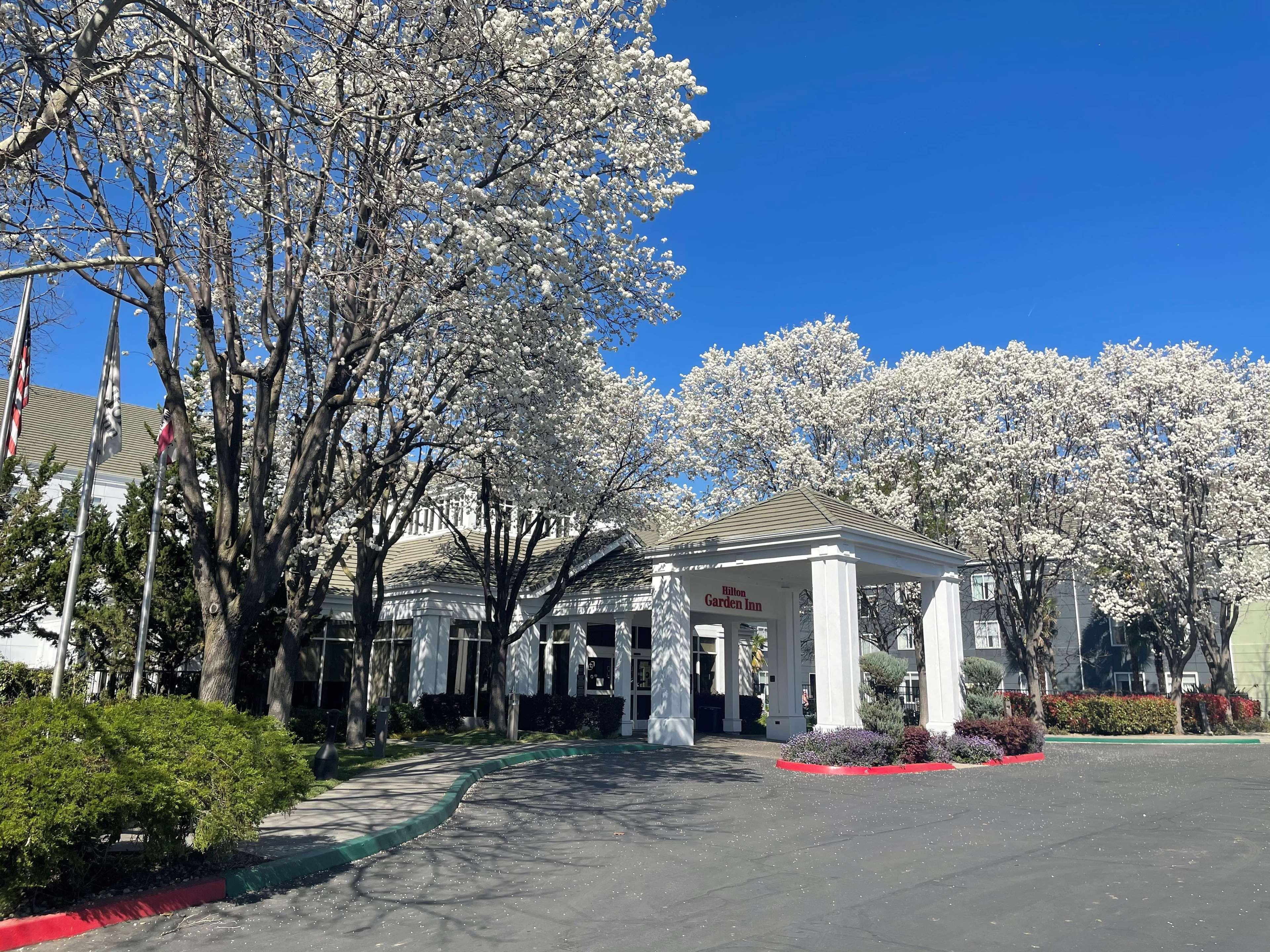 Hotel Hilton Garden Sacramento/south Natomas Sacramento