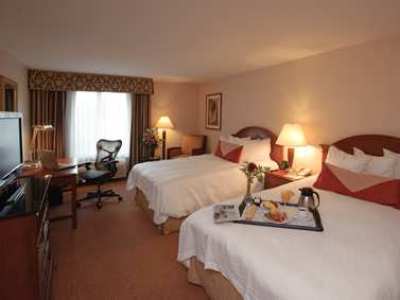 Hilton Garden Sacramento/south Natomas 3* Sacramento