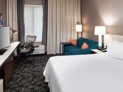 Hilton Garden Sacramento/south Natomas 3* Sacramento